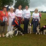 Plenty of dogs to drag their owners around!