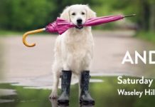 Birmingham Hospice and their sponsored dog walk