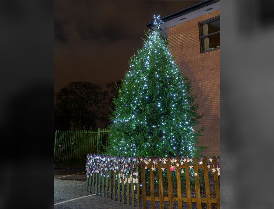 Tree-of-light_December 12, 2019_489