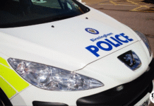 Police appeal for witnesses after pedestrian died in hit and run