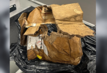 Appeal after dead puppy found in taped-up cardboard box in West Heath