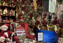 Christmas Magic begins at Bournville Garden Centre