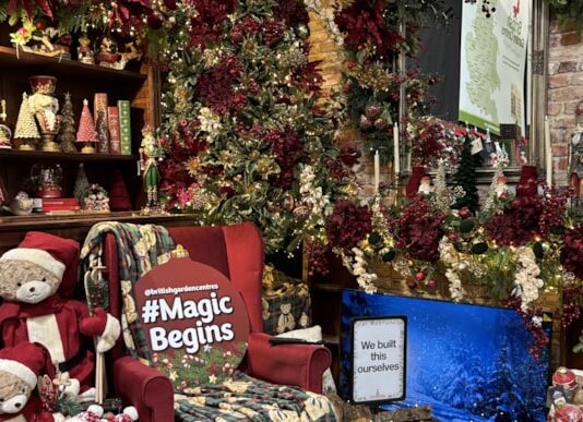 Christmas Magic begins at Bournville Garden Centre