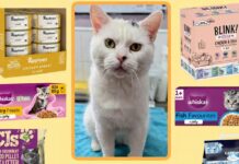 Local animal sanctuary shares ‘Cat Wishlist Appeal’