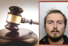 Man pleads guilty to 19 child sexual assaults at theme park