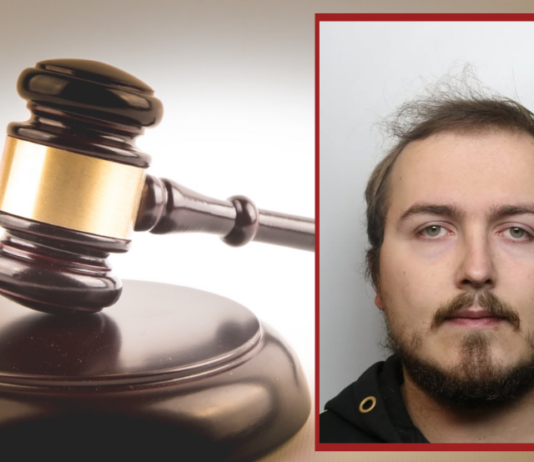 Man pleads guilty to 19 child sexual assaults at theme park